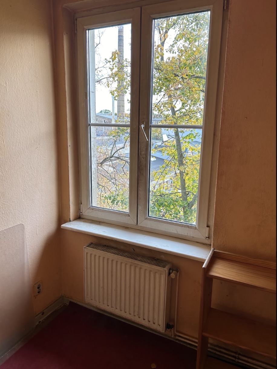 Originalaufnahme einer gereinigten Fenster- und Rahmenfläche
