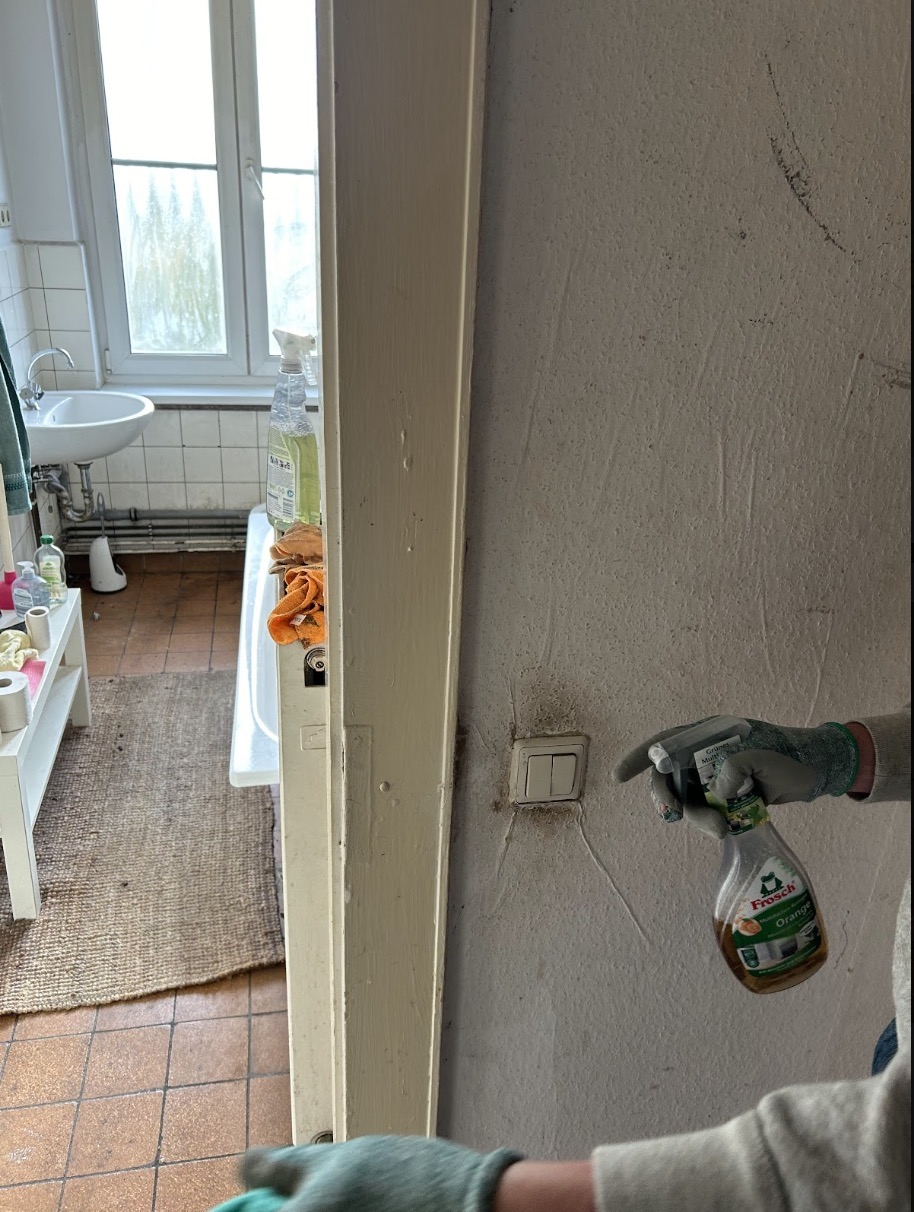 Echte Reinigung im Einsatz