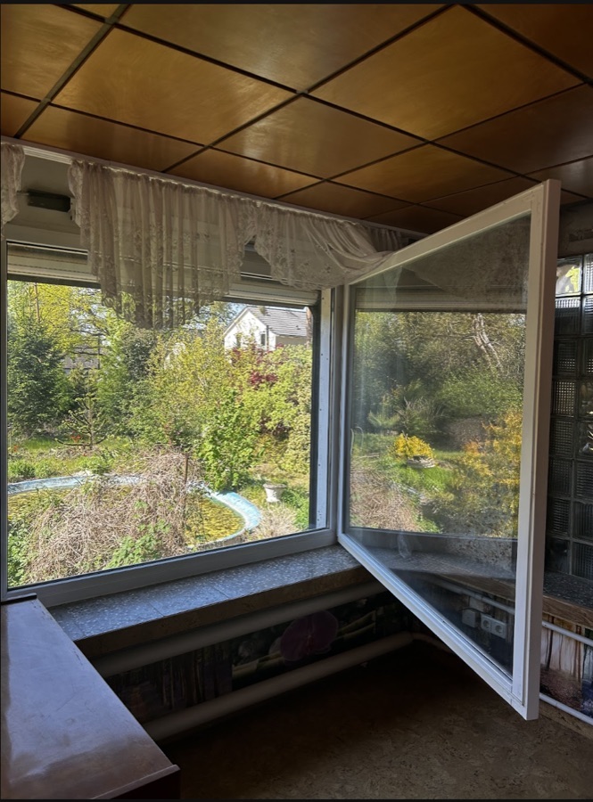 Fensterreinigung